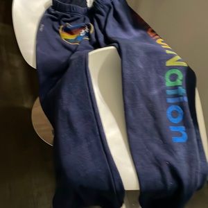 Aviator Nation large blue sweat pants. Has a stain.
